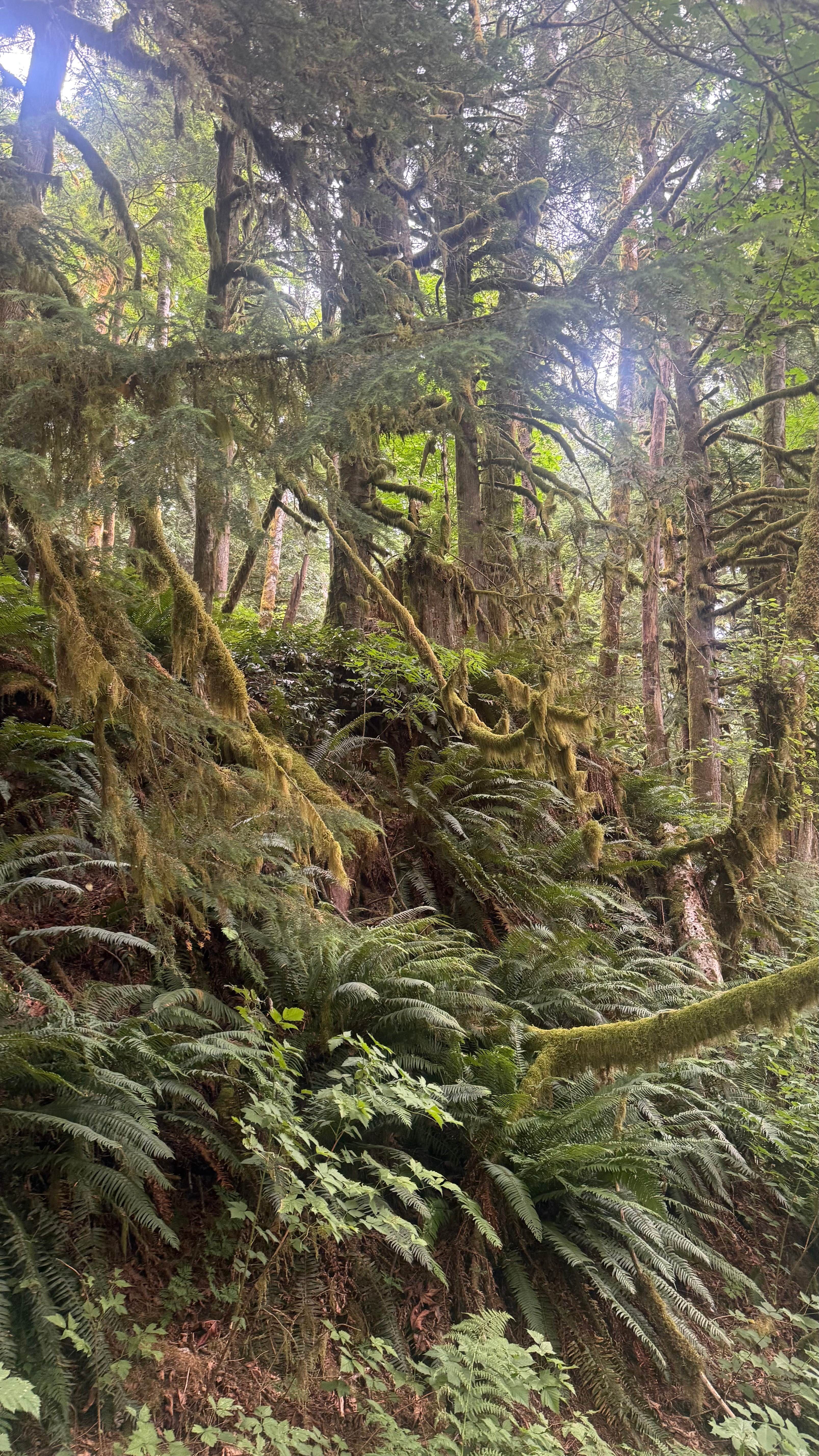 Camper-submitted photo at Boulder Creek near Conconully, WA