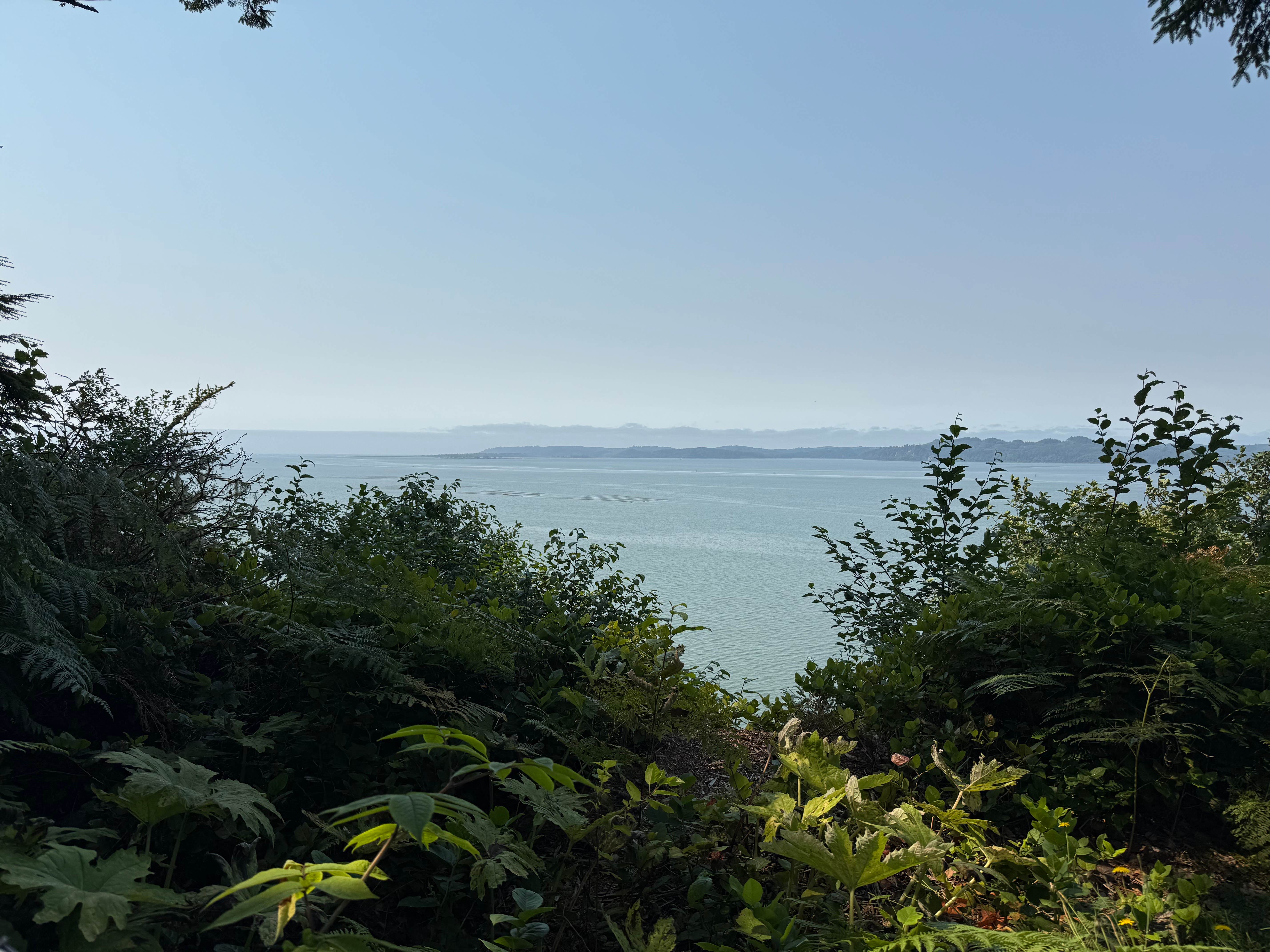 Camper-submitted photo at Bruceport County Park near Hoquiam, WA