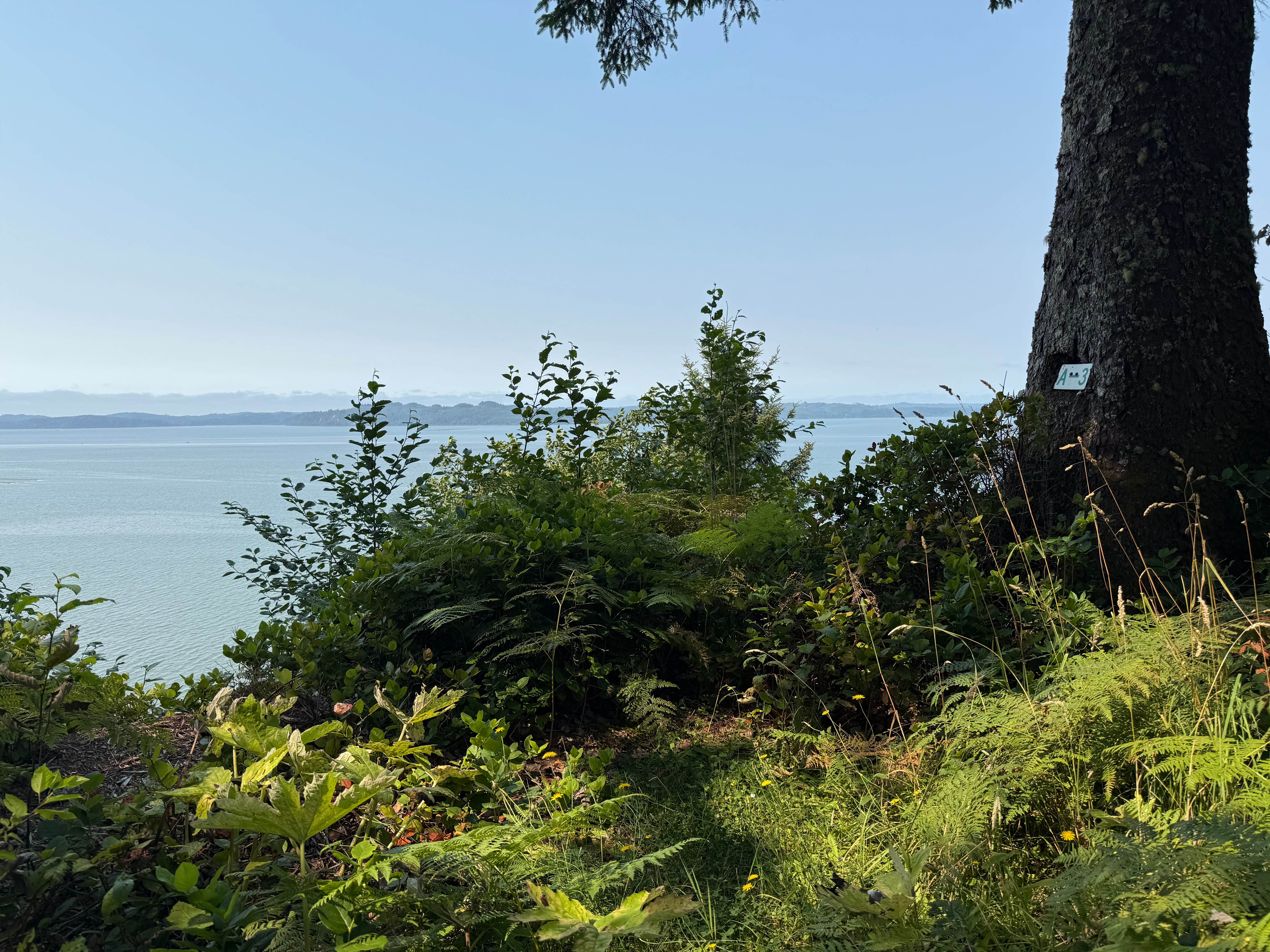 Camper-submitted photo at Bruceport County Park near Hoquiam, WA
