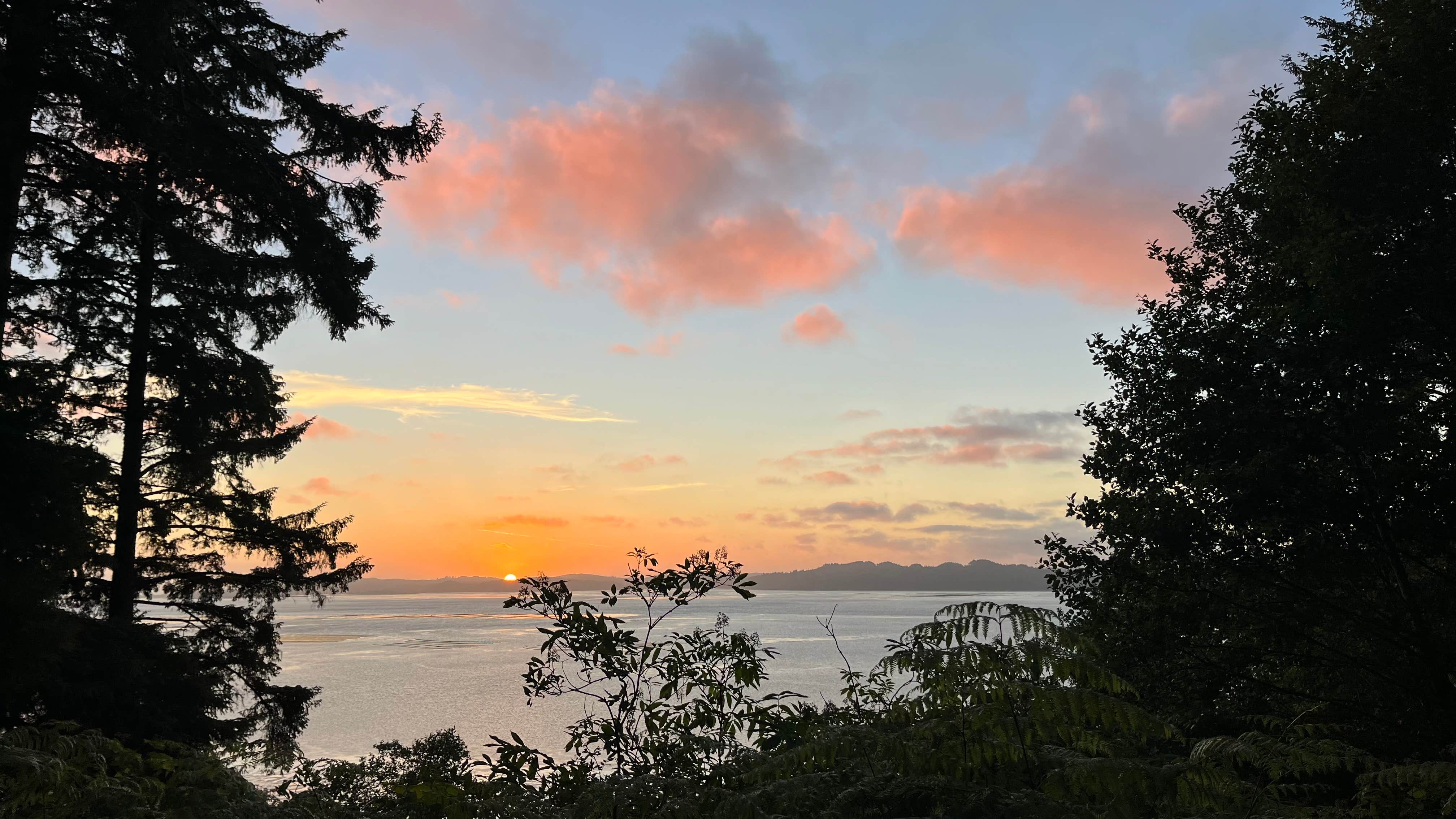 Camper-submitted photo at Bruceport County Park near Oysterville, WA