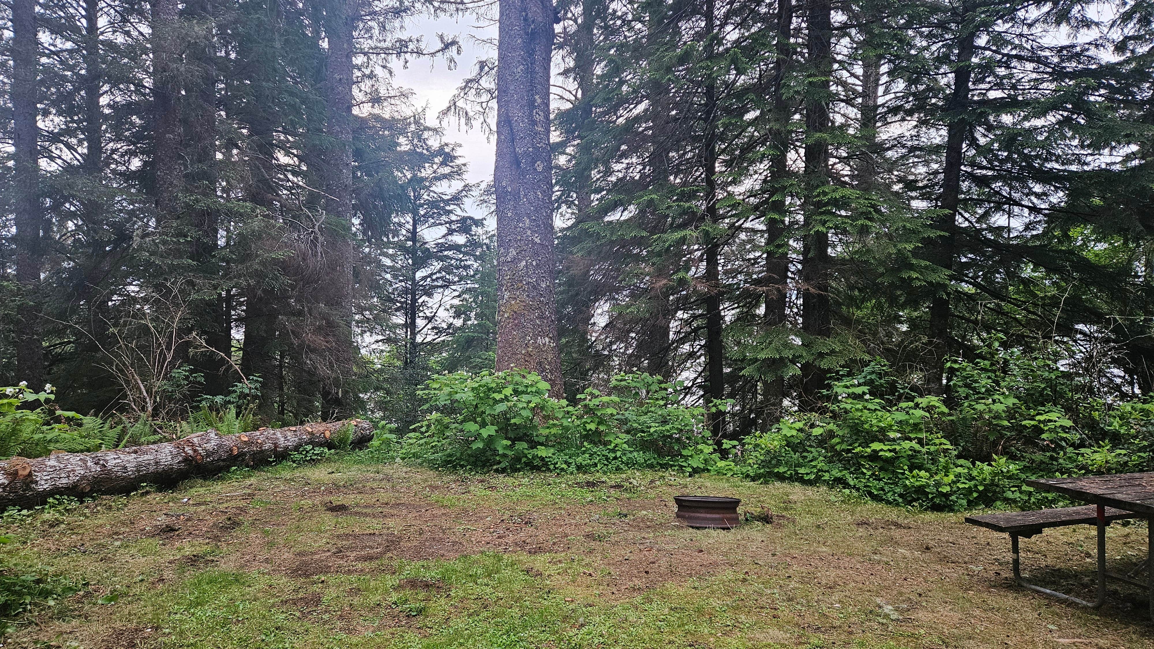 Camping near Bay Center-Willapa Bay KOA: Bruceport County Park, Raymond, Washington