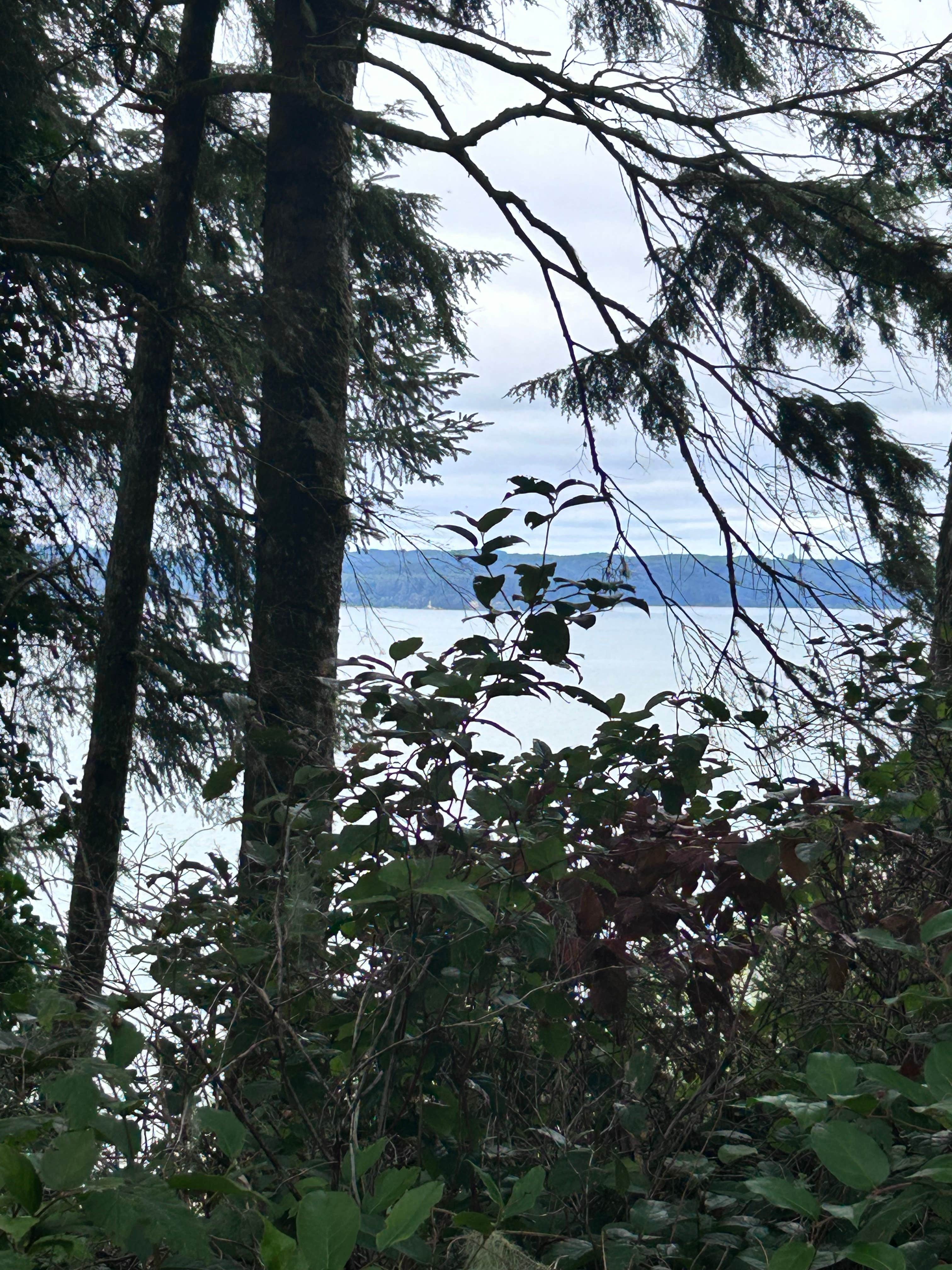Camper-submitted photo at Bruceport County Park near Westport, WA
