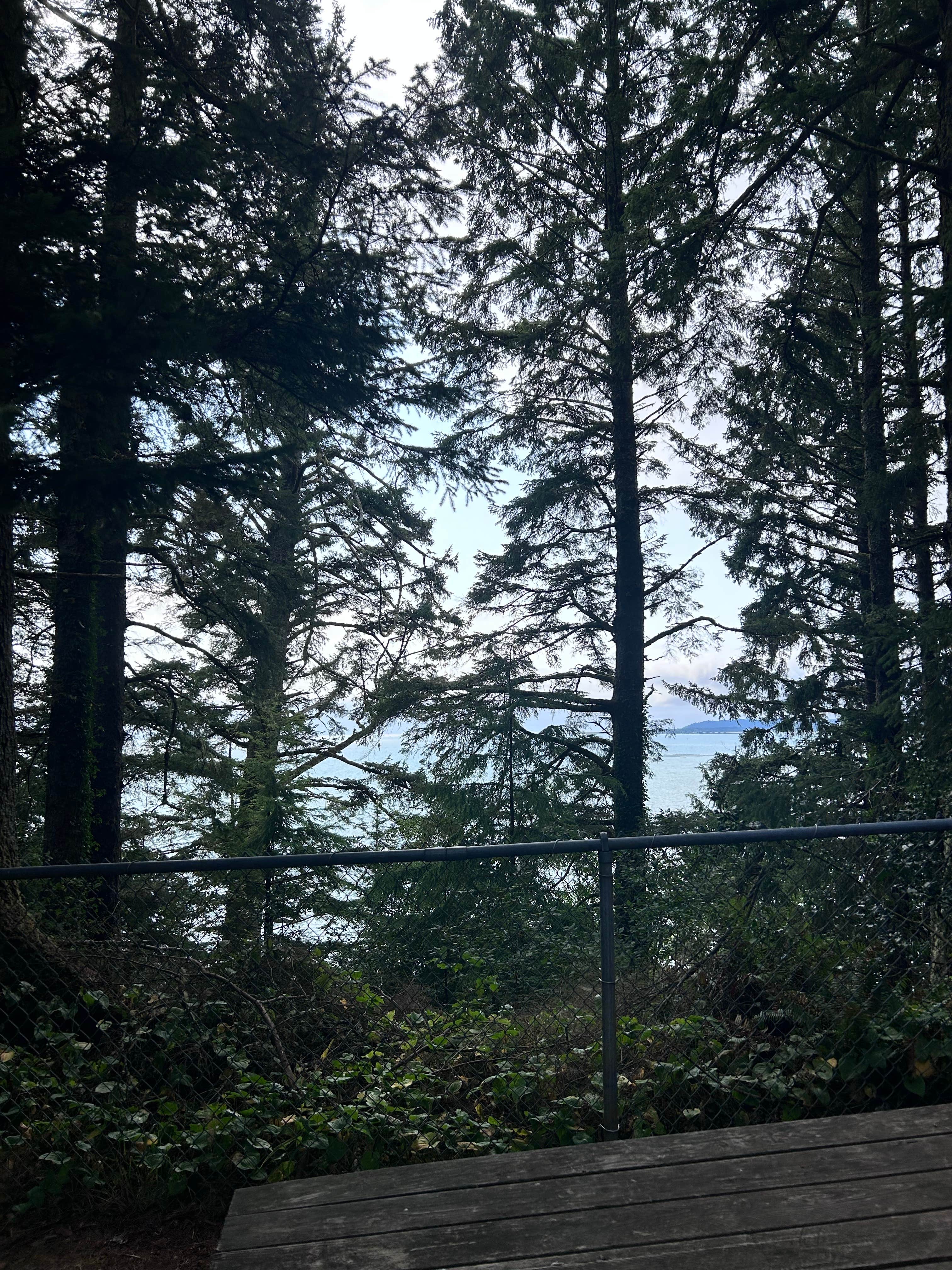 Camper-submitted photo at Bruceport County Park near Ocean Park, WA