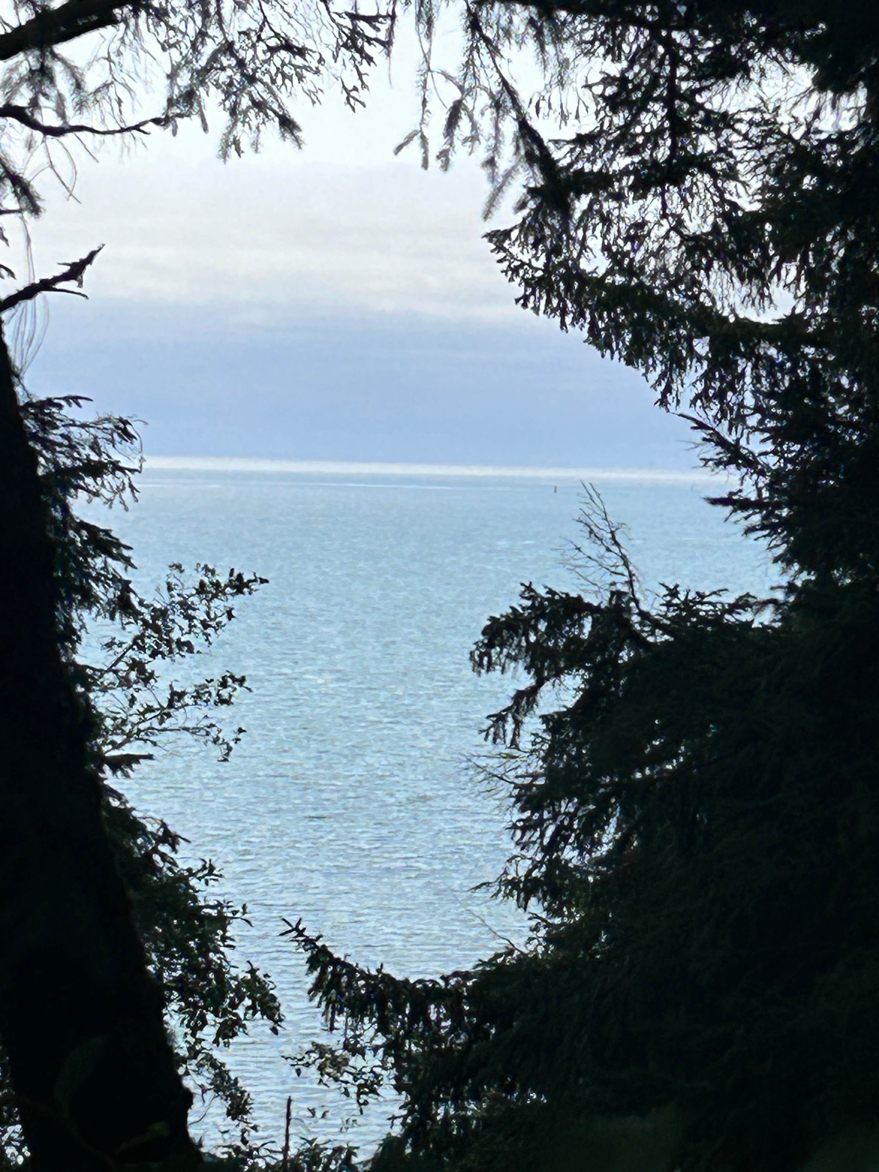 Camper-submitted photo at Bruceport County Park near Westport, WA