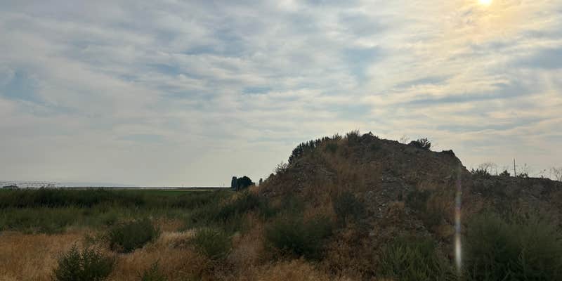 Camper submitted image from Burke Lake West