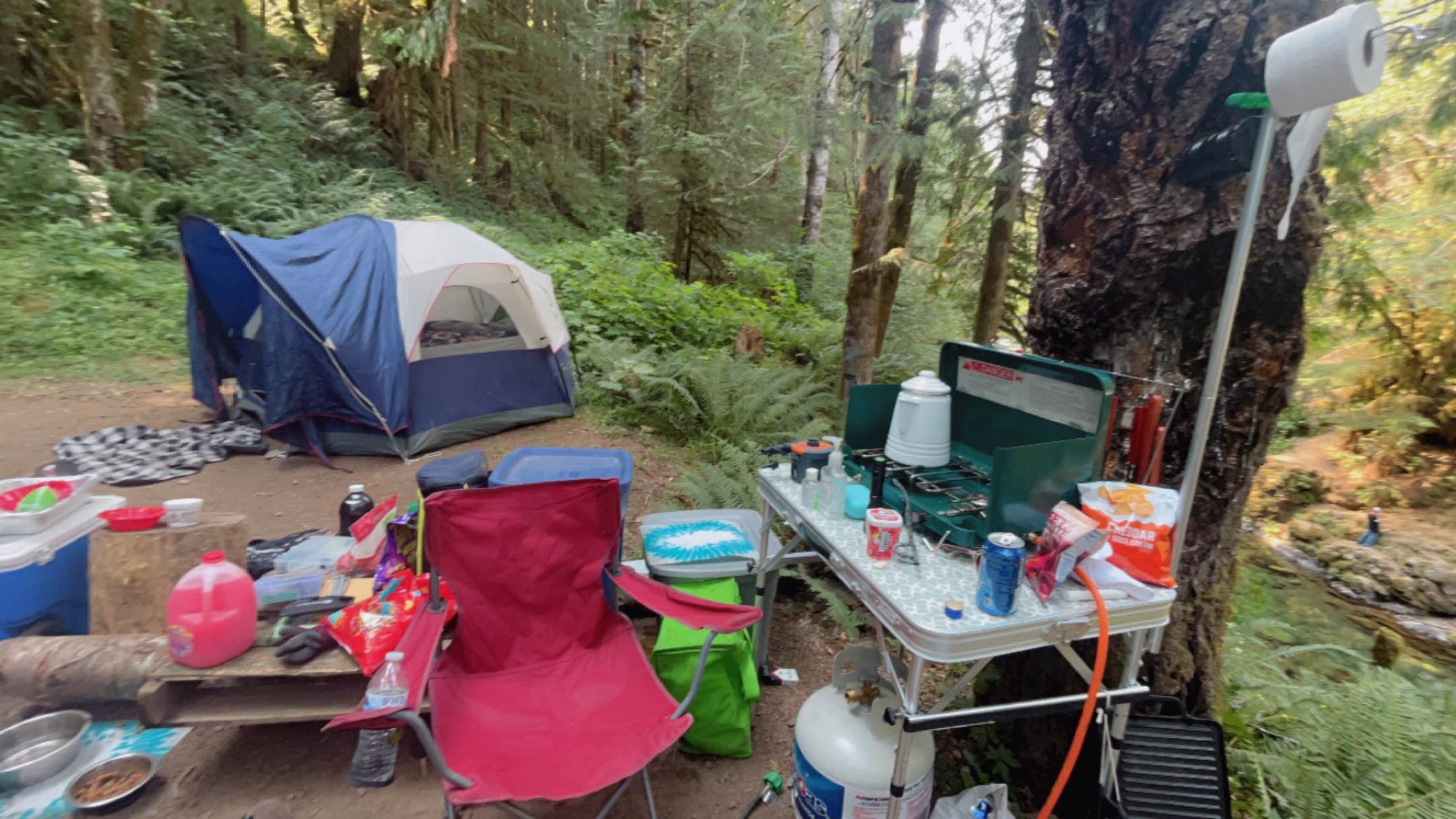 Camper-submitted photo at Gifford Pinchot National Forest-Canyon Creek Dispersed Camping near Yacolt, WA