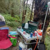 Review photo of Gifford Pinchot National Forest-Canyon Creek Dispersed Camping by Melissa B., July 29, 2024