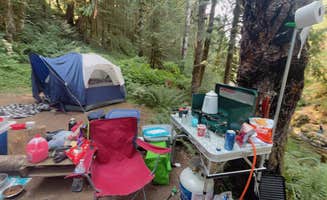 Melissa B.'s photo at Gifford Pinchot National Forest-Canyon Creek Dispersed Camping near Yacolt, WA