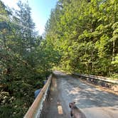 Review photo of Gifford Pinchot National Forest-Canyon Creek Dispersed Camping by Melissa B., July 29, 2024