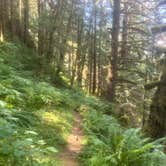 Review photo of Gifford Pinchot National Forest-Canyon Creek Dispersed Camping by Melissa B., July 29, 2024