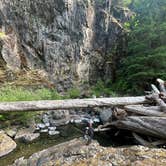 Review photo of Gifford Pinchot National Forest-Canyon Creek Dispersed Camping by Melissa B., July 29, 2024