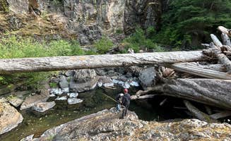 Melissa B.'s photo of camping with pets at Gifford Pinchot National Forest-Canyon Creek Dispersed Camping near Cougar, WA