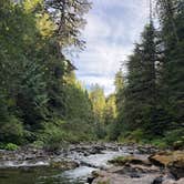 Review photo of Gifford Pinchot National Forest-Canyon Creek Dispersed Camping by Chris J., August 20, 2025