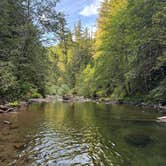 Review photo of Gifford Pinchot National Forest-Canyon Creek Dispersed Camping by Chris J., August 20, 2025