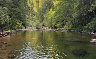 Chris J.'s photo of a dispersed camping area at Gifford Pinchot National Forest-Canyon Creek Dispersed Camping near Clatskanie, OR