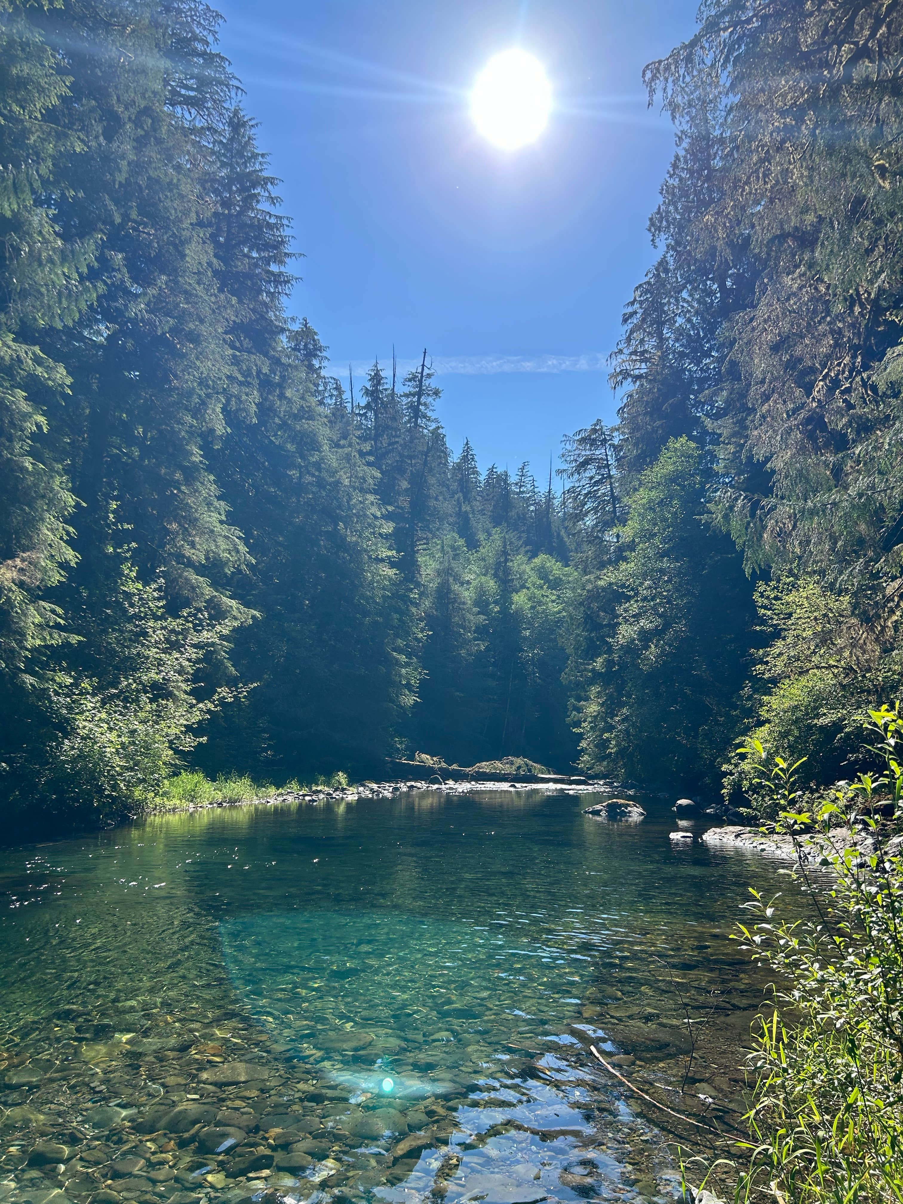 Jeffrey P.'s photo of a dispersed camping area at Gifford Pinchot National Forest-Canyon Creek Dispersed Camping near Hillsboro, OR
