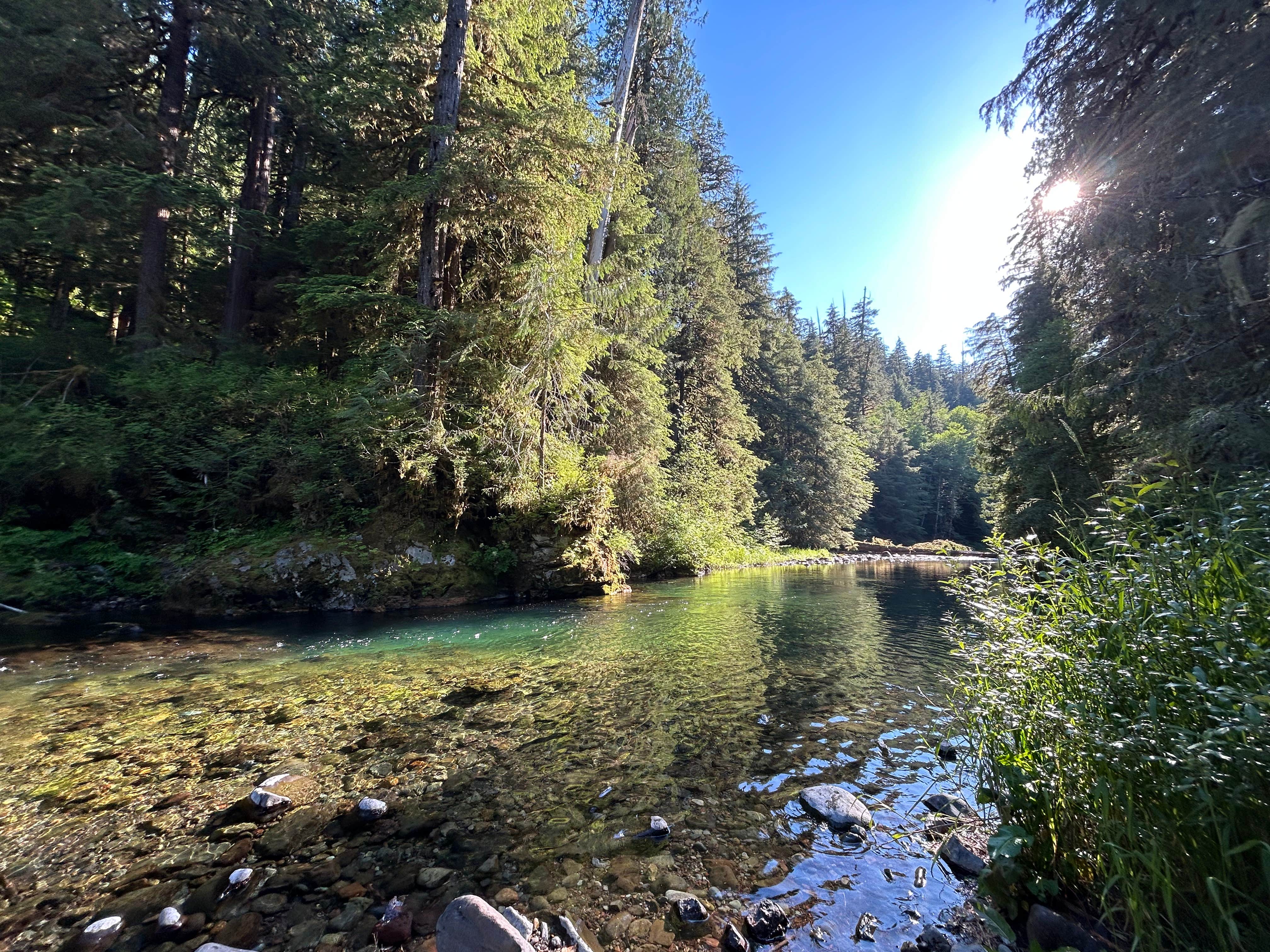 Jeffrey P.'s photo of a dispersed camping area at Gifford Pinchot National Forest-Canyon Creek Dispersed Camping near Toledo, WA