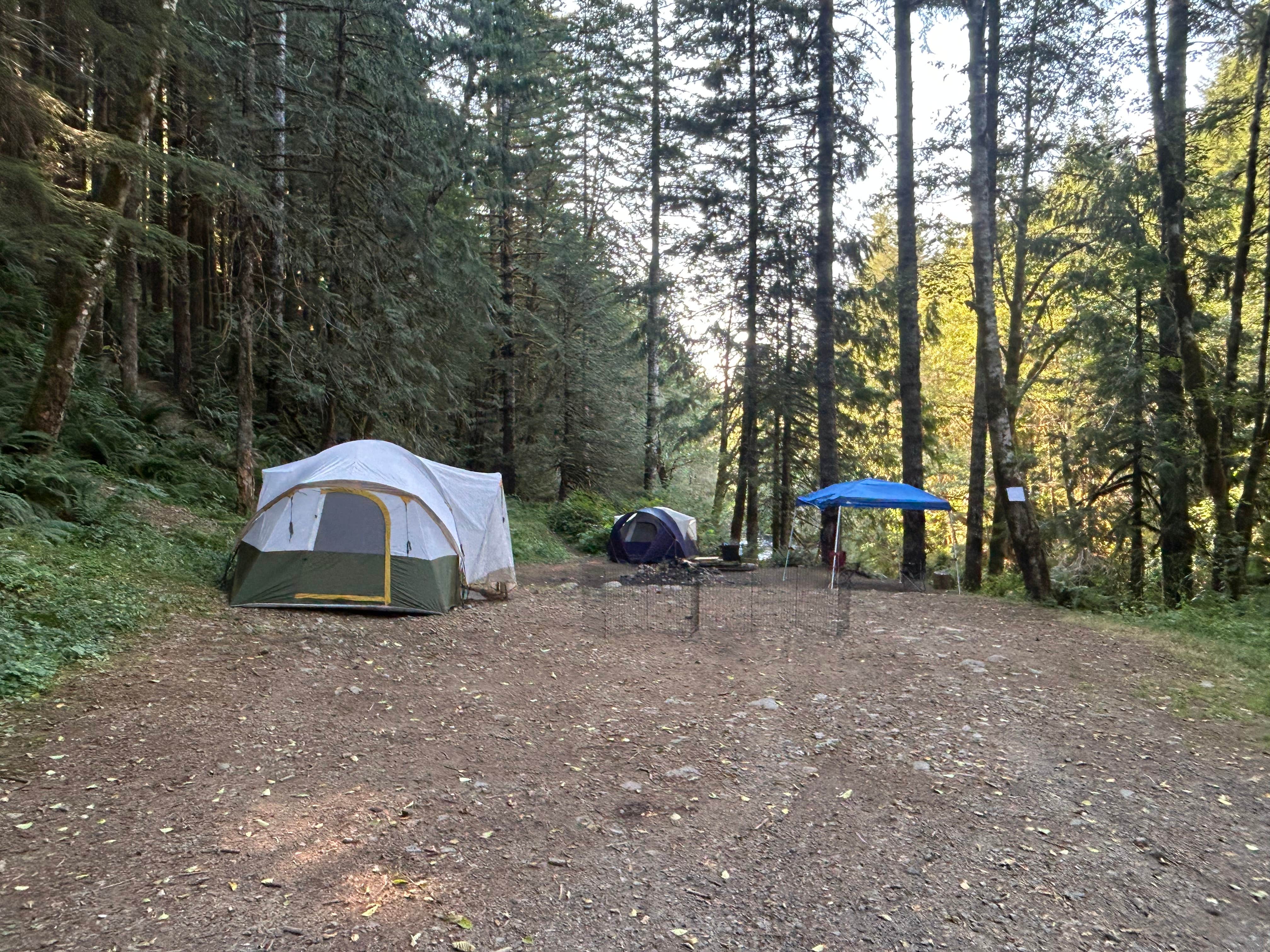 Camper-submitted photo at Gifford Pinchot National Forest-Canyon Creek Dispersed Camping near Yacolt, WA