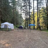 Review photo of Gifford Pinchot National Forest-Canyon Creek Dispersed Camping by Melissa B., July 29, 2024