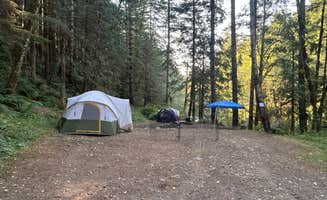 Melissa B.'s photo of tent camping at Gifford Pinchot National Forest-Canyon Creek Dispersed Camping near Silverlake, WA
