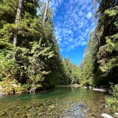 Review photo of Gifford Pinchot National Forest-Canyon Creek Dispersed Camping by Jeffrey P., June 22, 2024