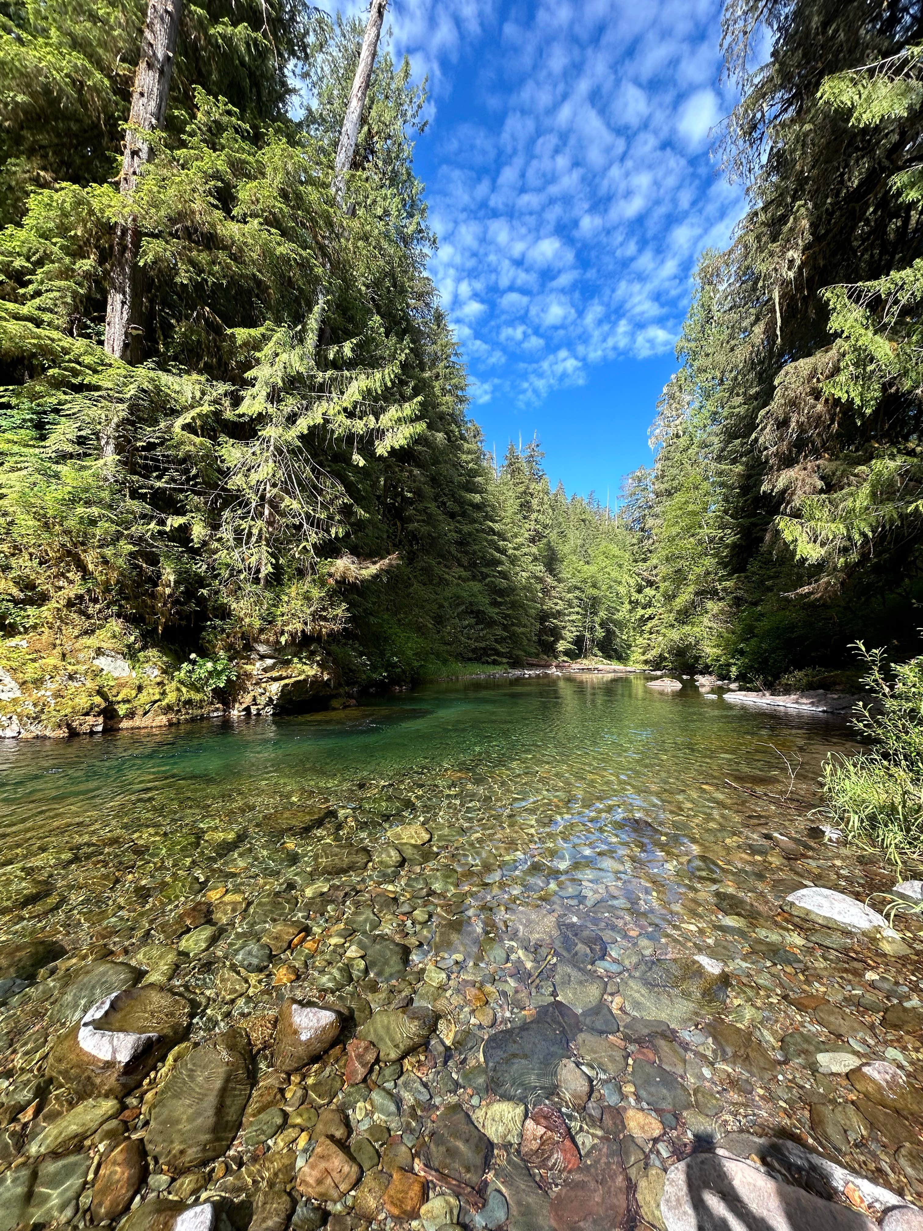 Camper submitted image from Gifford Pinchot National Forest-Canyon Creek Dispersed Camping - 5