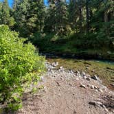 Review photo of Gifford Pinchot National Forest-Canyon Creek Dispersed Camping by Jeffrey P., June 22, 2024