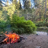 Review photo of Gifford Pinchot National Forest-Canyon Creek Dispersed Camping by Jeffrey P., June 22, 2024