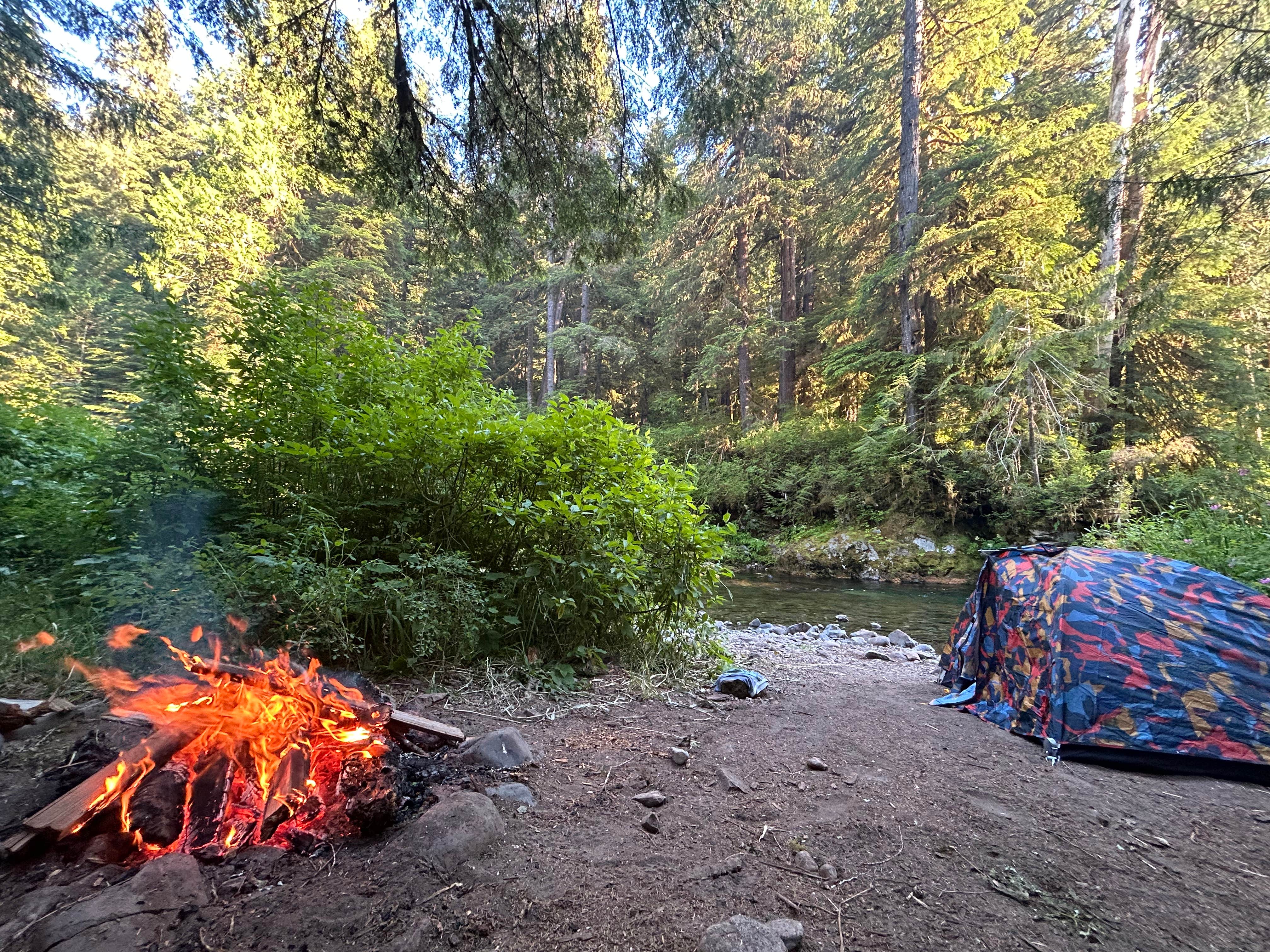 Camper submitted image from Gifford Pinchot National Forest-Canyon Creek Dispersed Camping - 1