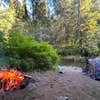 Camper-submitted photo from Gifford Pinchot National Forest-Canyon Creek Dispersed Camping
