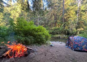 Gifford Pinchot National Forest-Canyon Creek Dispersed Camping