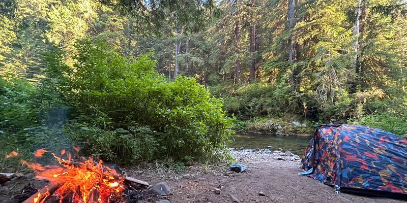 Camper submitted image from Gifford Pinchot National Forest-Canyon Creek Dispersed Camping