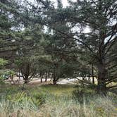 Review photo of Cape Disappointment State Park Campground by Vanessa C., July 11, 2026