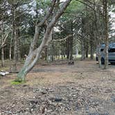 Review photo of Cape Disappointment State Park Campground by Eric P., March 8, 2024