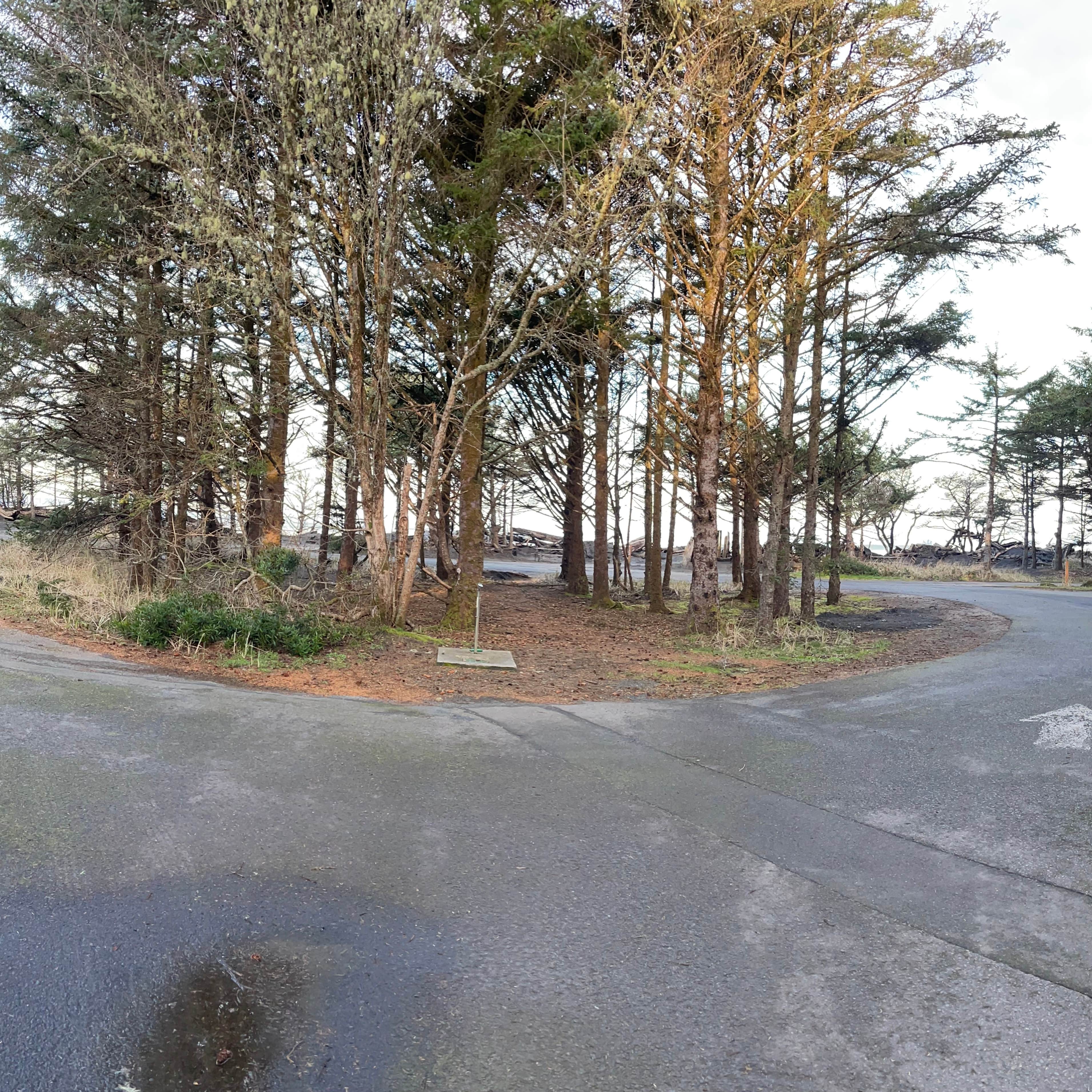 Cape Disappointment State Park Campground | Ilwaco, WA