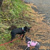 Review photo of Cape Disappointment State Park Campground by L & J L., December 2, 2023