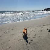 Review photo of Cape Disappointment State Park Campground by Fraun P., September 23, 2026