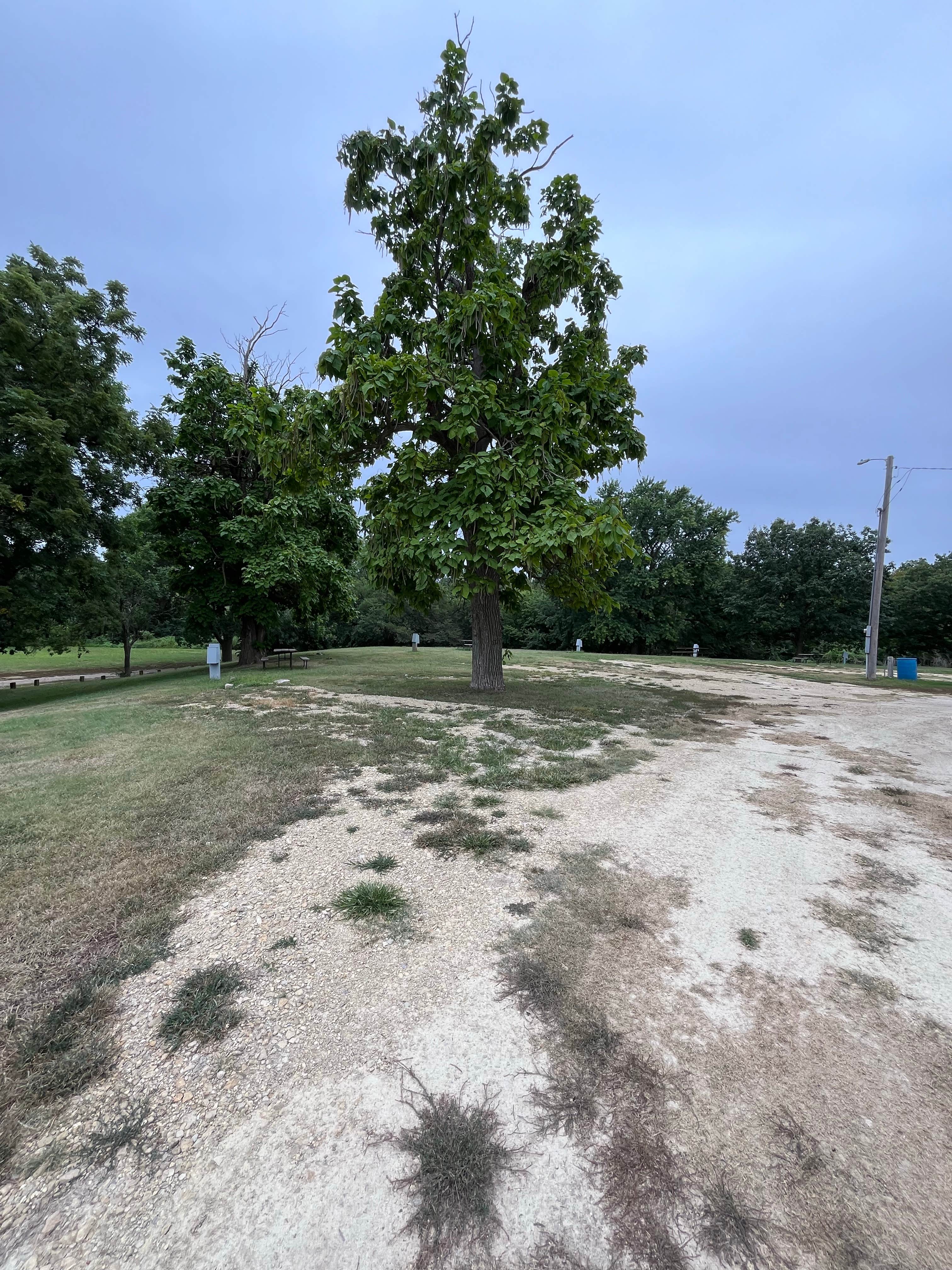 Camper-submitted photo at Washington City Park near Hanover, KS