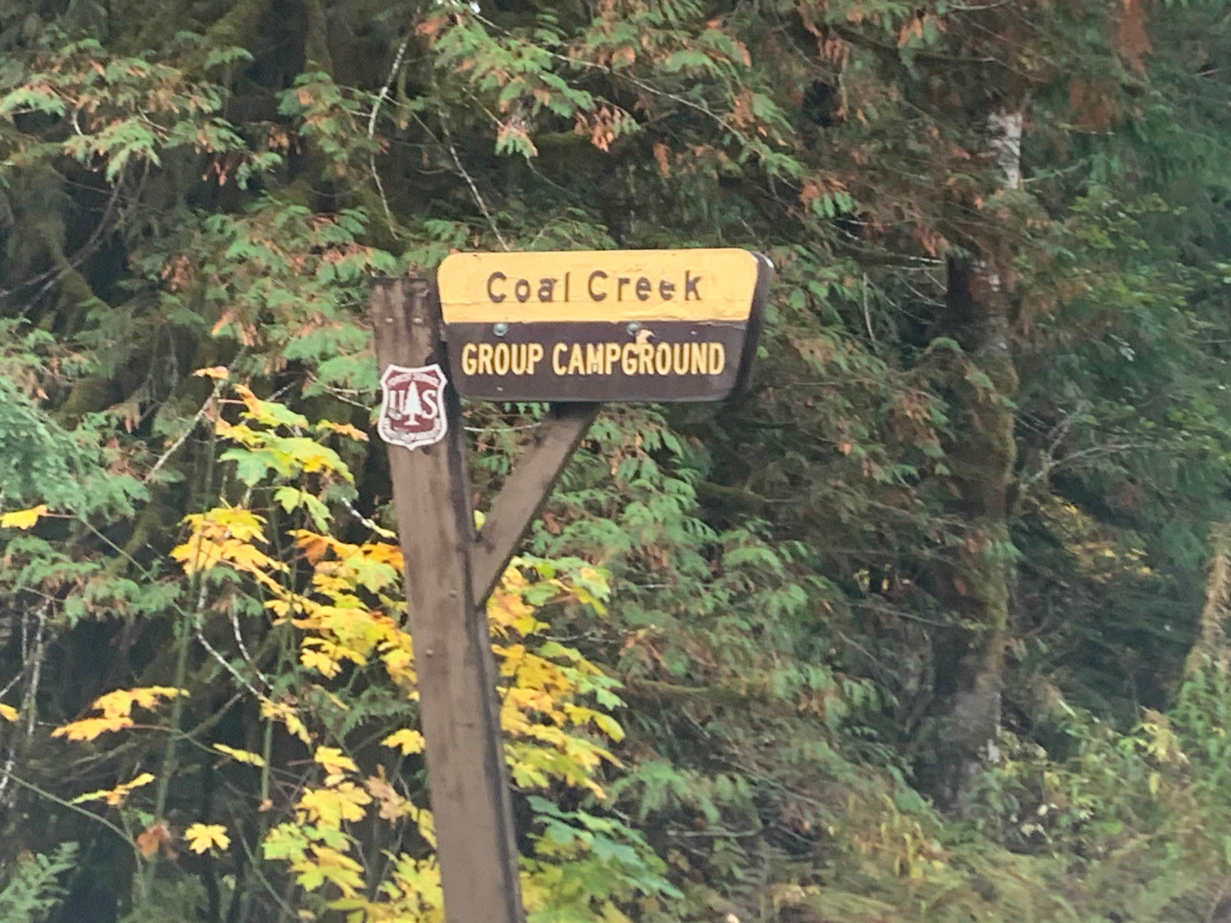 Camper submitted image from Coal Creek Group Camp - 3