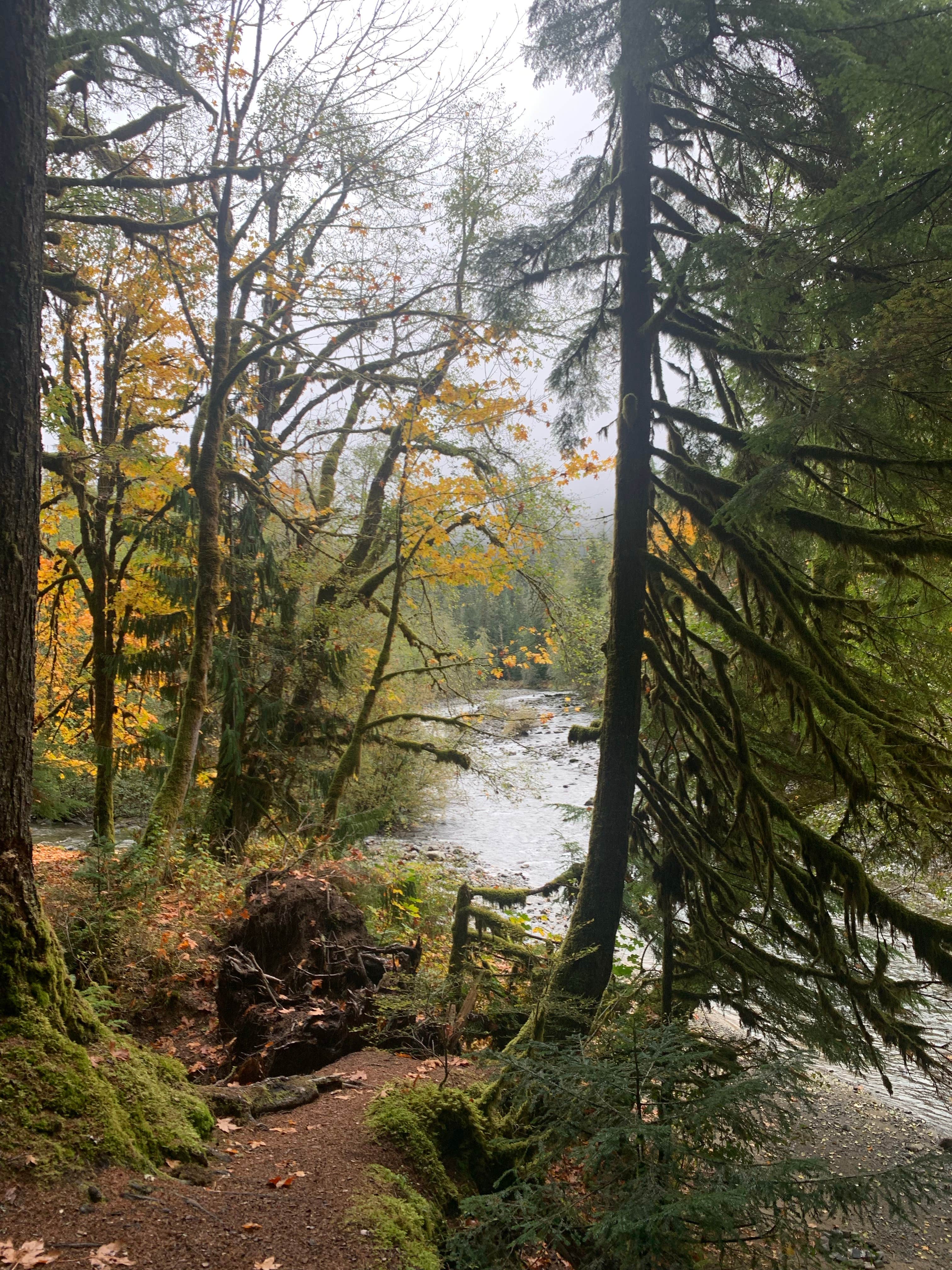 Camper submitted image from Coal Creek Group Camp - 5