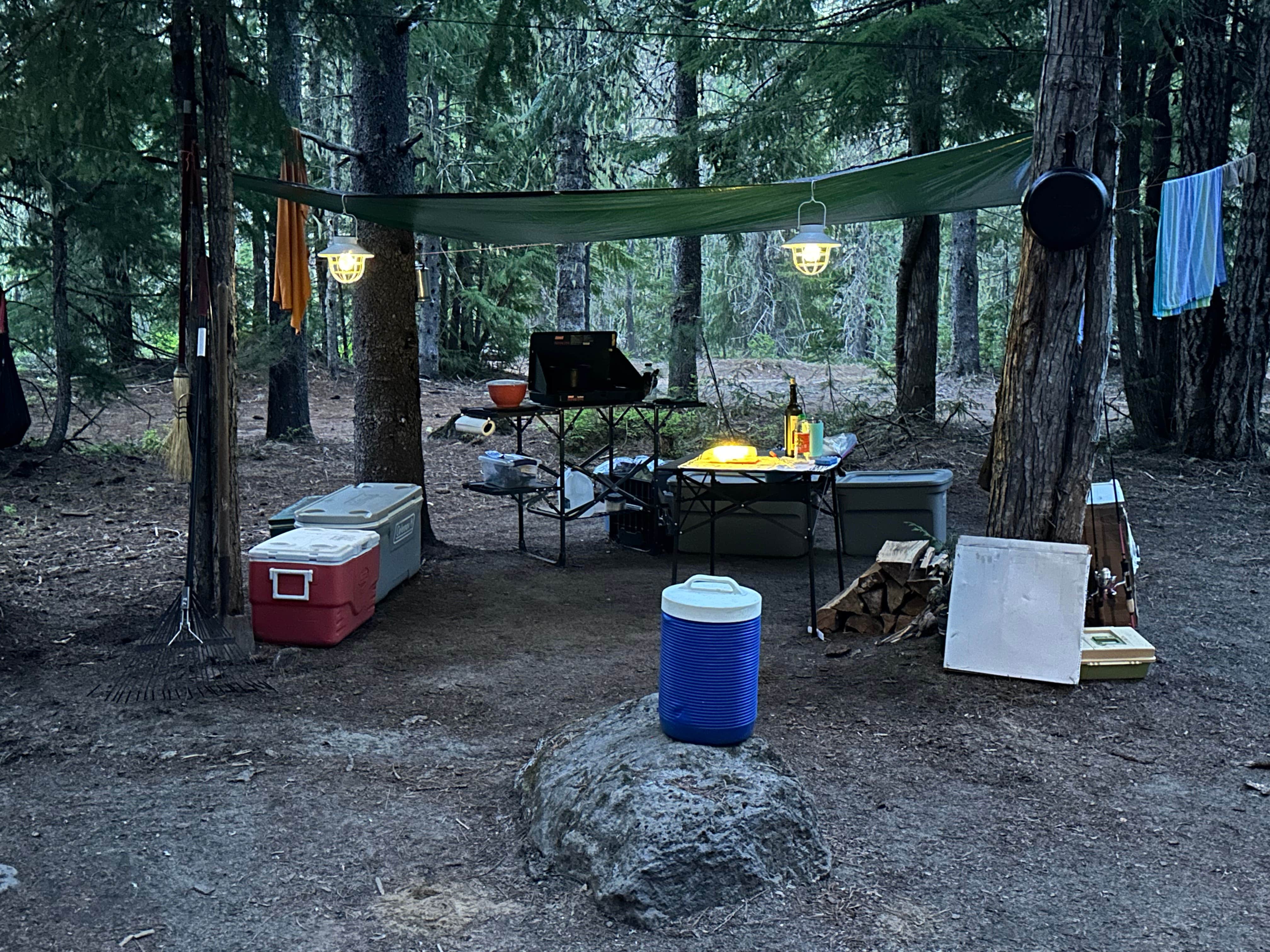 Camper-submitted photo at Horse Camp: Cody near Gifford Pinchot National Forest