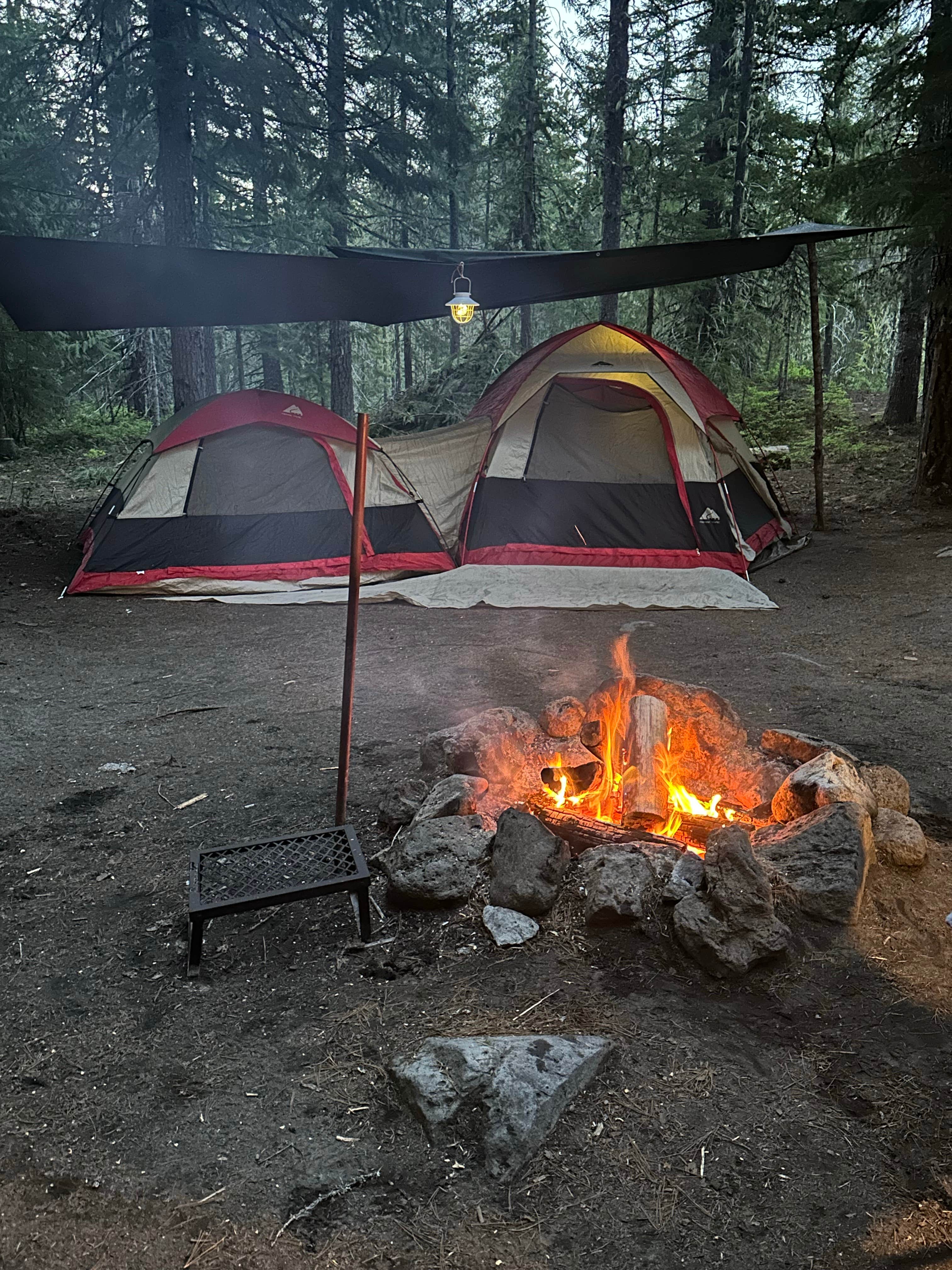 Camping near Goat Lake/Snowgrass Flat Backcountry Camp: Horse Camp: Cody, Gifford Pinchot National Forest, Washington