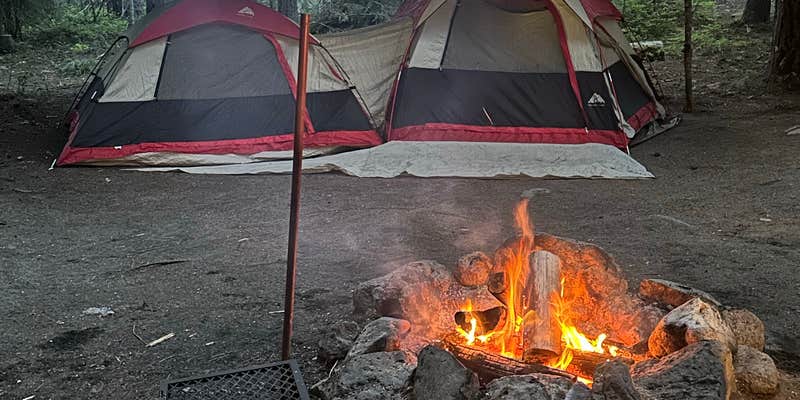 Camper submitted image from Horse Camp: Cody