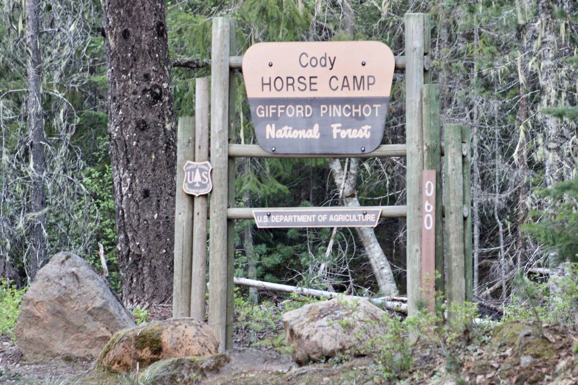 Camper submitted image from Horse Camp: Cody - 4