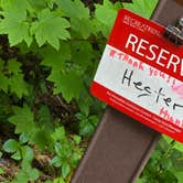 Review photo of Colonial Creek South Campground — Ross Lake National Recreation Area by Travis H., July 7, 2025