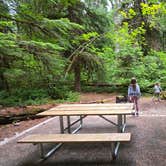 Review photo of Colonial Creek South Campground — Ross Lake National Recreation Area by Travis H., July 7, 2025