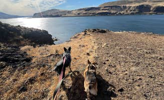 Stephanie F.'s photo of camping with pets at Columbia Hills Historical State Park Campground near Bingen, WA