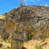 Review photo of Columbia Hills Historical State Park Campground by Stephanie F., June 28, 2025