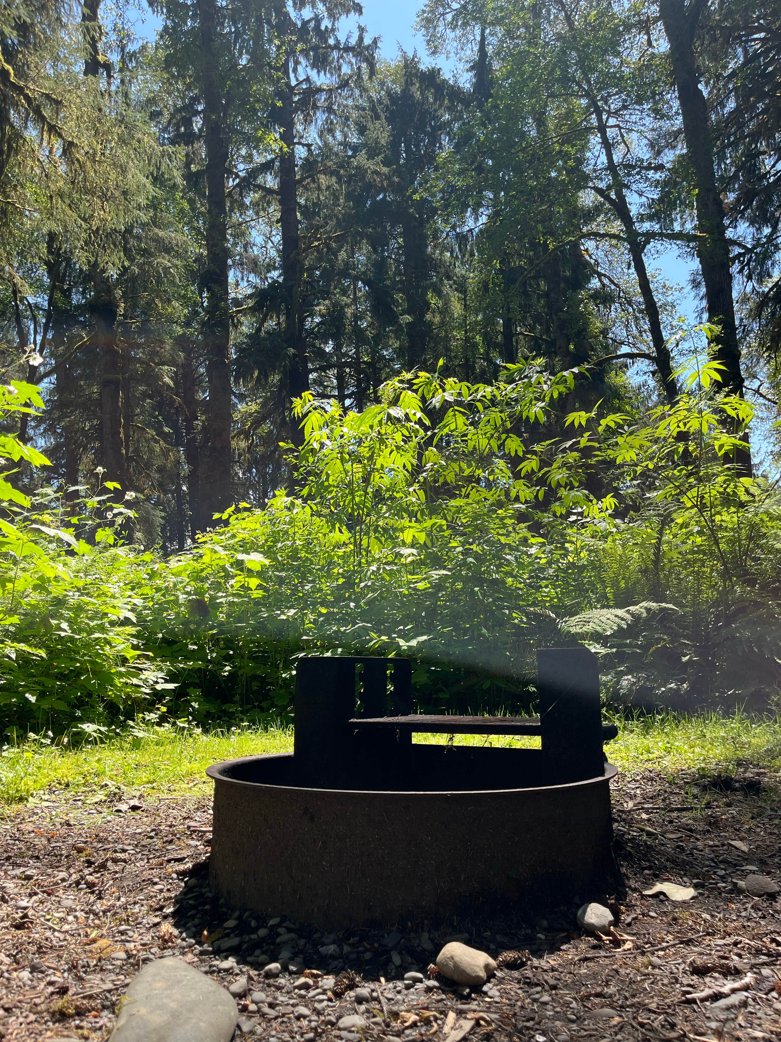 Camper-submitted photo at Cottonwood Campground near Forks, WA