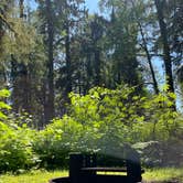 Review photo of Cottonwood Campground by stephanie E., May 29, 2025